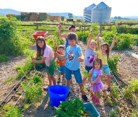 Rachel Miller's grandchildren holding up freshly pulled carrots in the garden